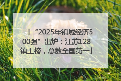 “2025年镇域经济500强”出炉：江苏128镇上榜，总数全国第一