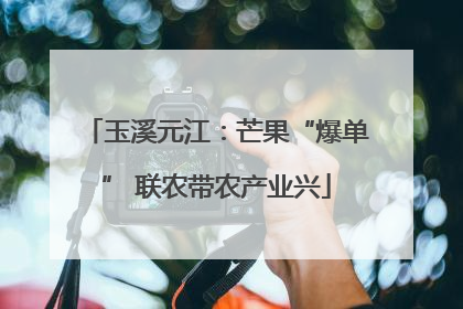 玉溪元江：芒果“爆单” 联农带农产业兴