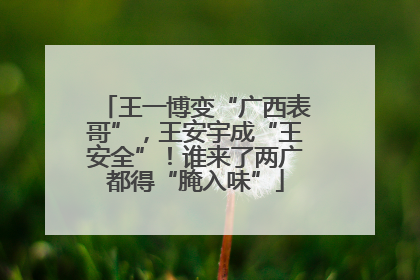 王一博变“广西表哥”，王安宇成“王安全”！谁来了两广都得“腌入味”