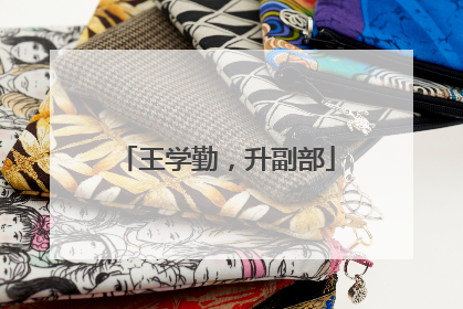 王学勤，升副部