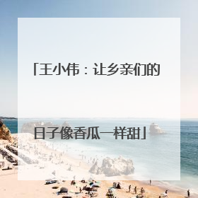 王小伟：让乡亲们的日子像香瓜一样甜