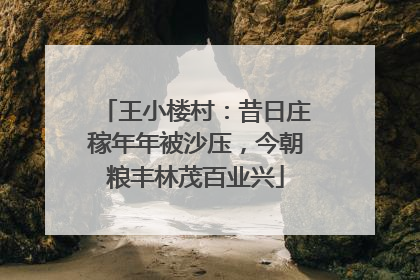 王小楼村：昔日庄稼年年被沙压，今朝粮丰林茂百业兴