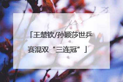 王楚钦/孙颖莎世乒赛混双“三连冠”