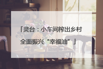 灵台：小车间榨出乡村全面振兴“幸福油”