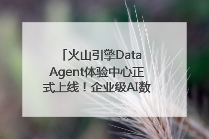 火山引擎Data Agent体验中心正式上线！企业级AI数据专家触手可及