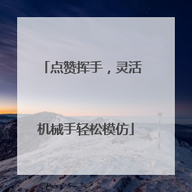 点赞挥手，灵活机械手轻松模仿