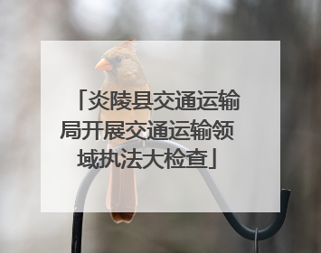 炎陵县交通运输局开展交通运输领域执法大检查