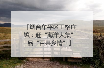 烟台牟平区王格庄镇：赶“海洋大集” 品“百果乡情”