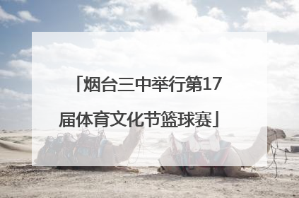 烟台三中举行第17届体育文化节篮球赛