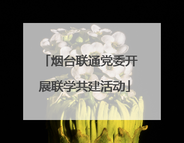 烟台联通党委开展联学共建活动