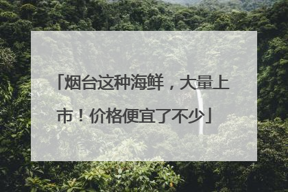 烟台这种海鲜，大量上市！价格便宜了不少