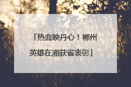 热血映丹心！郴州英雄在湘获省表彰