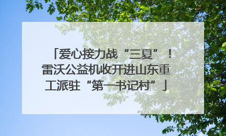 爱心接力战“三夏”！雷沃公益机收开进山东重工派驻“第一书记村”