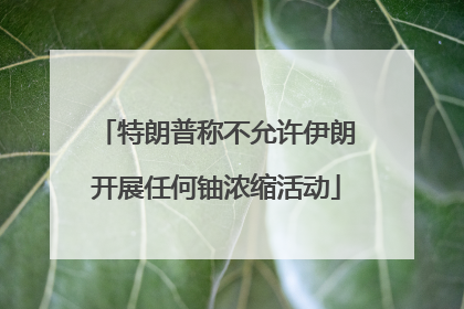 特朗普称不允许伊朗开展任何铀浓缩活动