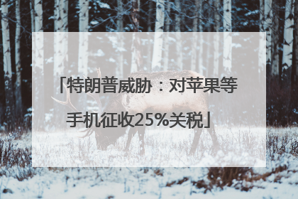 特朗普威胁：对苹果等手机征收25%关税