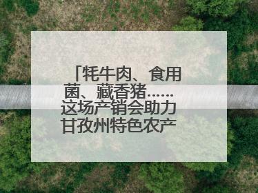 牦牛肉、食用菌、藏香猪……这场产销会助力甘孜州特色农产品走进成都