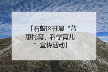 石鼓区开展“普惠托育、科学育儿”宣传活动