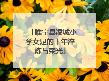睢宁县凌城小学女足的十年淬炼与荣光