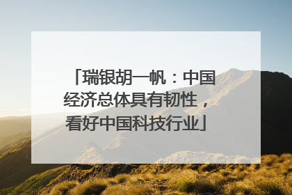 瑞银胡一帆：中国经济总体具有韧性，看好中国科技行业