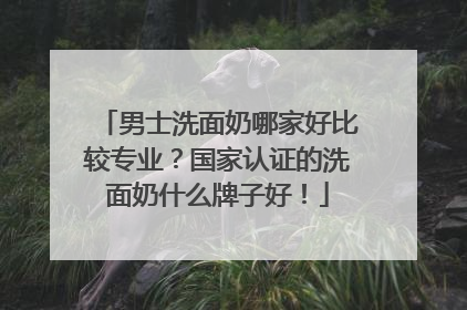 男士洗面奶哪家好比较专业？国家认证的洗面奶什么牌子好！