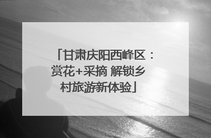 甘肃庆阳西峰区：赏花+采摘 解锁乡村旅游新体验