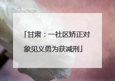 甘肃：一社区矫正对象见义勇为获减刑