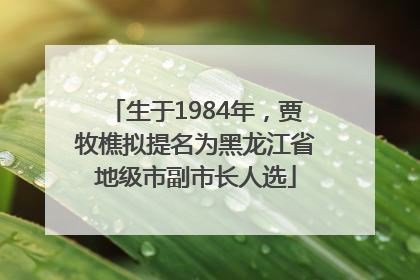 生于1984年，贾牧樵拟提名为黑龙江省地级市副市长人选