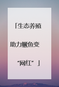 生态养殖助力鳜鱼变“网红”