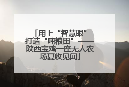 用上“智慧眼” 打造“吨粮田”——陕西宝鸡一座无人农场夏收见闻