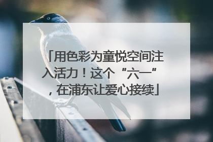 用色彩为童悦空间注入活力！这个“六一”，在浦东让爱心接续