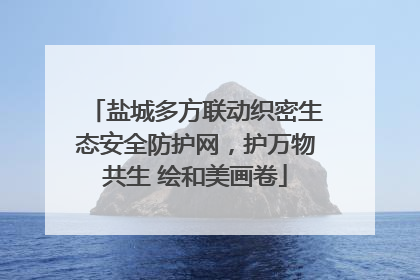 盐城多方联动织密生态安全防护网，护万物共生 绘和美画卷