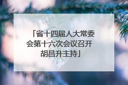 省十四届人大常委会第十六次会议召开 胡昌升主持
