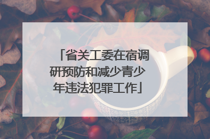 省关工委在宿调研预防和减少青少年违法犯罪工作