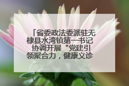省委政法委派驻无棣县水湾镇第一书记 协调开展“党建引领聚合力，健康义诊惠乡亲”义诊活动