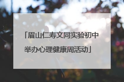 眉山仁寿文同实验初中举办心理健康周活动
