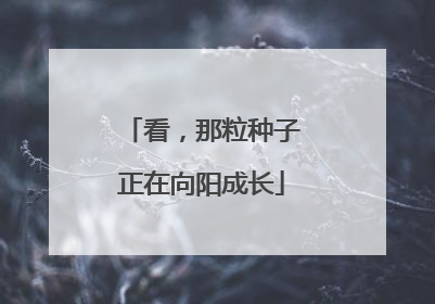 看，那粒种子正在向阳成长