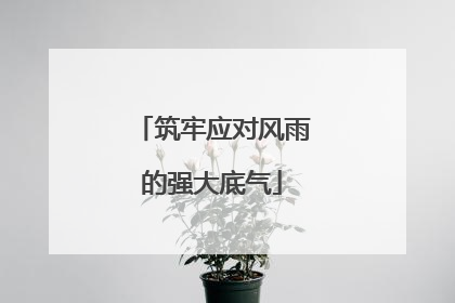 筑牢应对风雨的强大底气