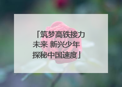 筑梦高铁接力未来 新兴少年探秘中国速度