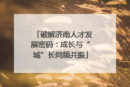 破解济南人才发展密码：成长与“城”长同频共振