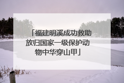 福建明溪成功救助放归国家一级保护动物中华穿山甲