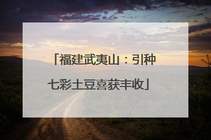 福建武夷山：引种七彩土豆喜获丰收