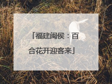 福建闽侯：百合花开迎客来