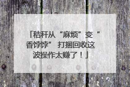 秸秆从“麻烦”变“香饽饽” 打捆回收这波操作太赚了！