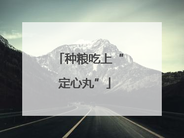 种粮吃上“定心丸”