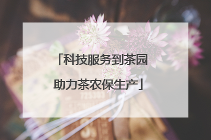 科技服务到茶园 助力茶农保生产