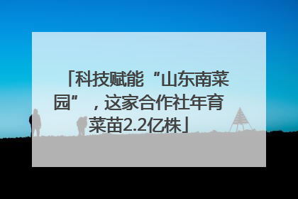 科技赋能“山东南菜园”，这家合作社年育菜苗2.2亿株