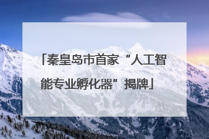 秦皇岛市首家“人工智能专业孵化器”揭牌