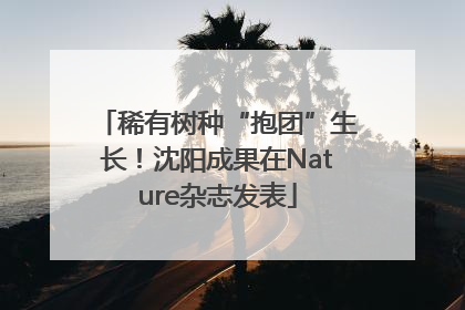 稀有树种“抱团”生长！沈阳成果在Nature杂志发表
