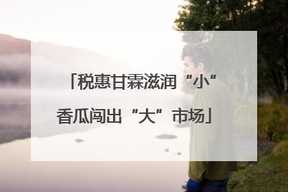 税惠甘霖滋润“小”香瓜闯出“大”市场