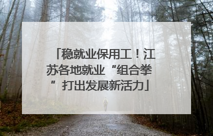 稳就业保用工！江苏各地就业“组合拳”打出发展新活力